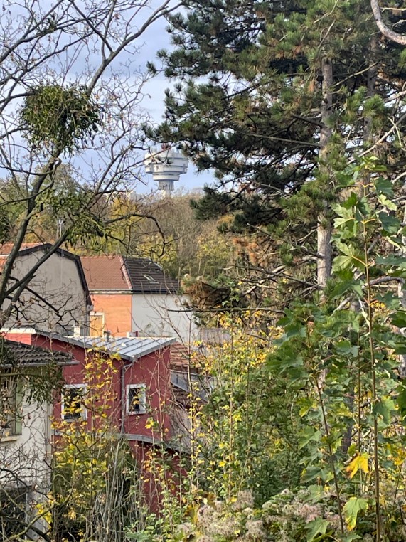 Photo Projet Par(c)image - Sonia Keravel_Romainville_20251110