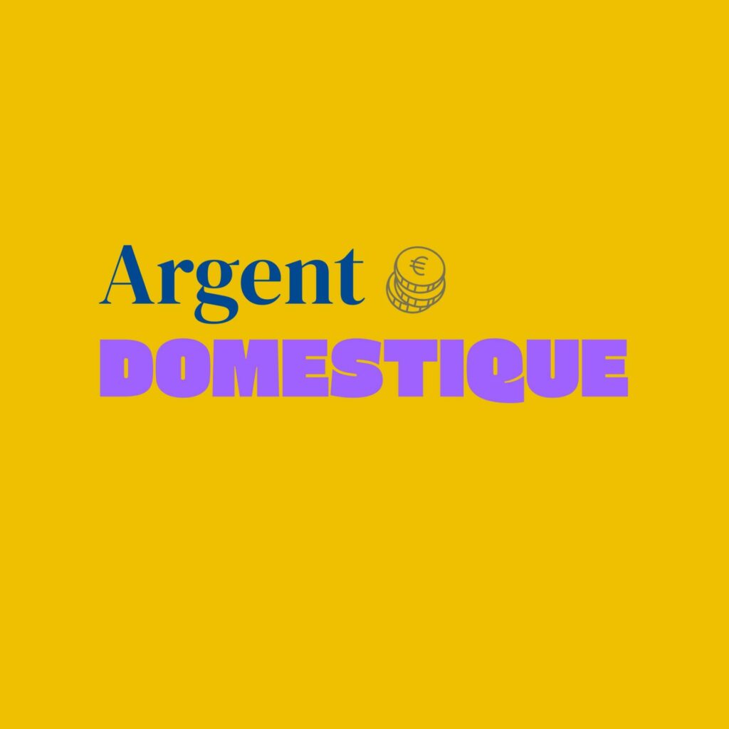 Visuel Argent Domestique