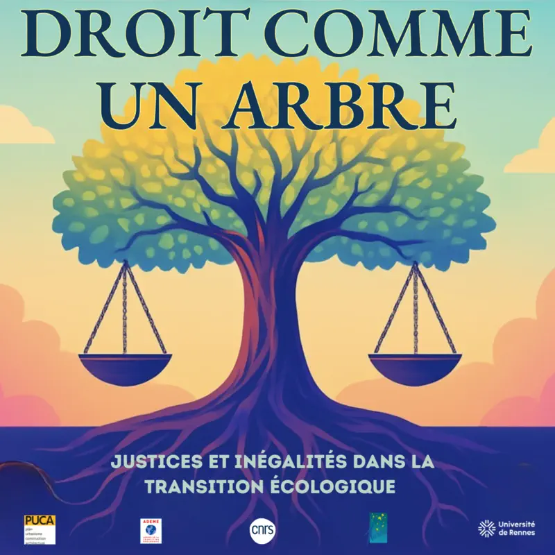 Logo du Podcast Droit comme un arbre